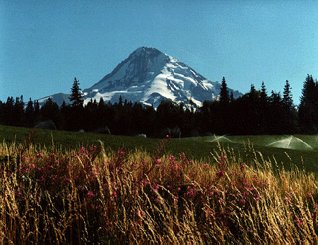 View of Mt Hood in the Springtime